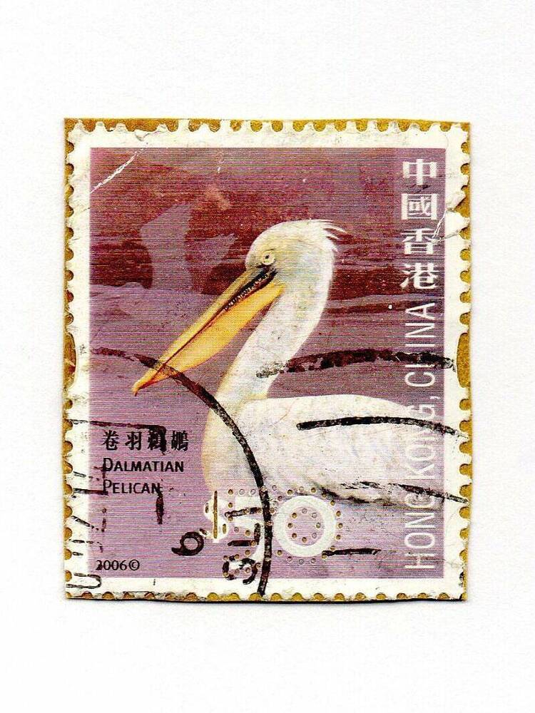 Марка почтовая «Кудрявый пеликан», Гонконг, Китай