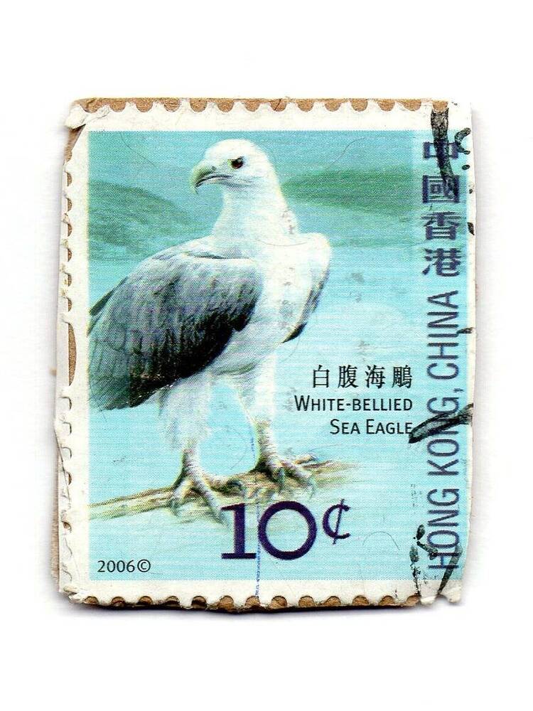 Марка почтовая «Белобрюхий орлан», Гонконг, Китай
