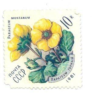 Почтовая марка 10 копеек с изображением парагеума горного