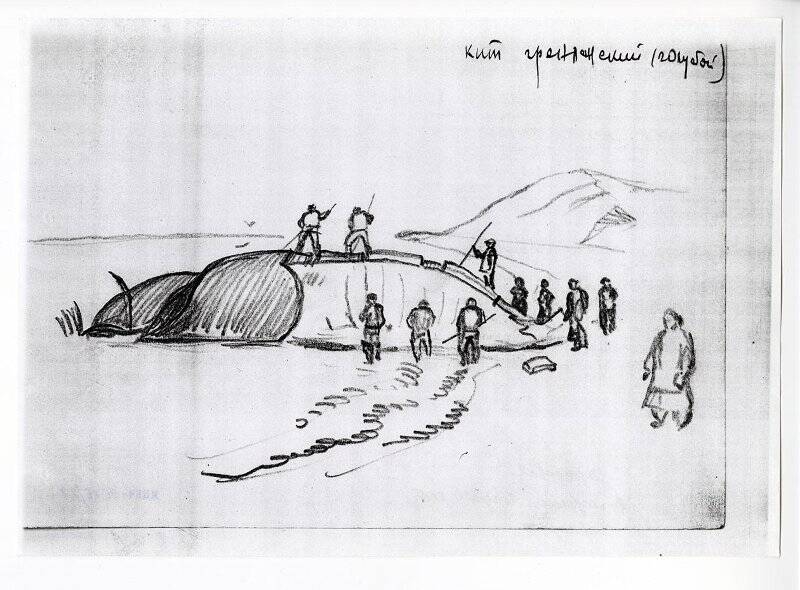Коллекция графических работ В.А.Истомина. «В Лорино. Голубой кит». Лист