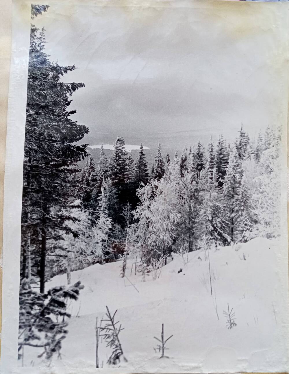 Фото из альбома по истории развития лыжного спорта в Н. Тагиле с 1926 года. У перепада «Поглядовай» на горе Белой.