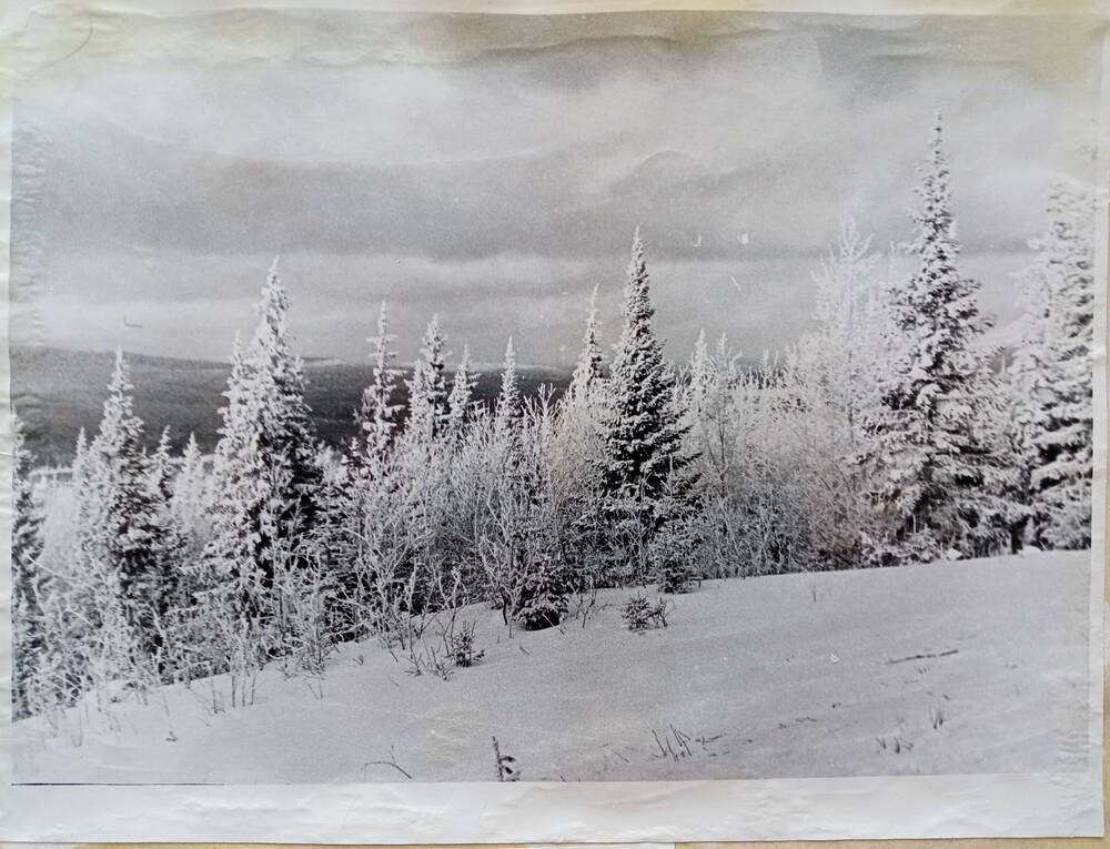 Фото из альбома по истории развития лыжного спорта в Н. Тагиле с 1926 года. Белогорские просторы.