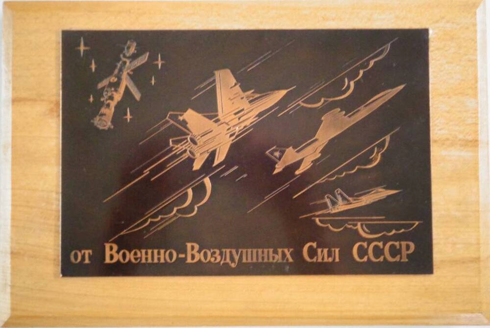 Сувенир-подарок Ефимову от ВВС.