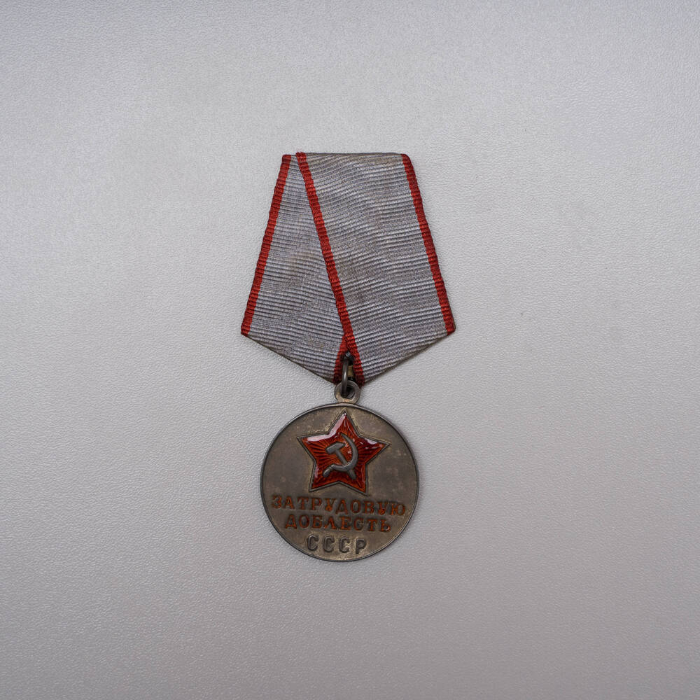 Медаль « За трудовую доблесть» Гоникман