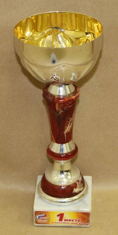 Кубок спортивный команды г. Колпашево за 1 место по баскетболу среди женщин в играх Стадион для всех.