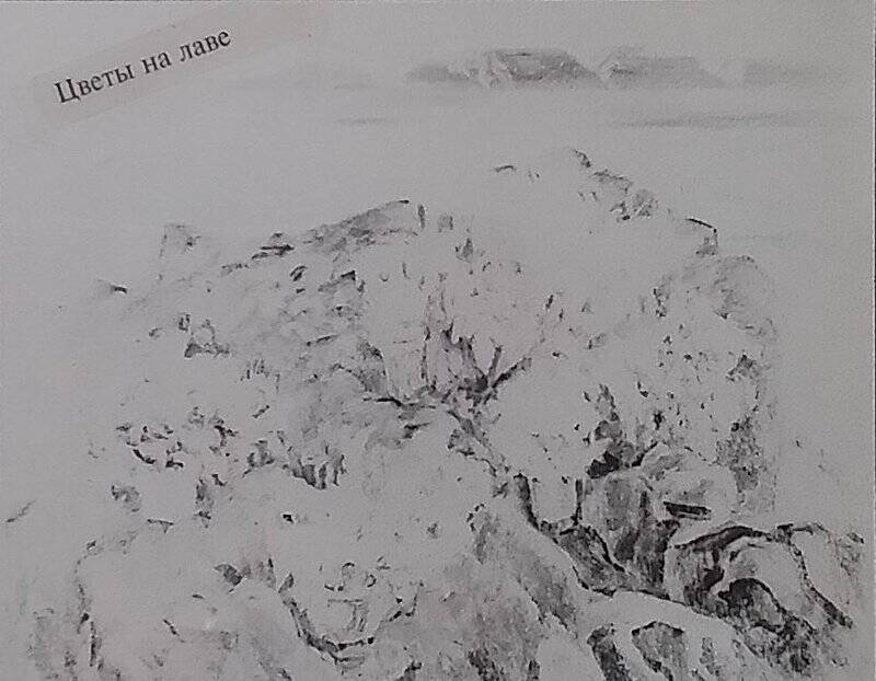 Негатив чёрно-белый. Картина Ф. Дьякова «Цветы на лаве».