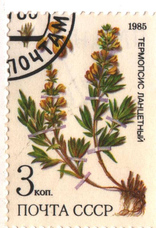 Марка почты СССР - термопсис ланцетный из серии «Лекарственные растения Сибири» номиналом 3к.