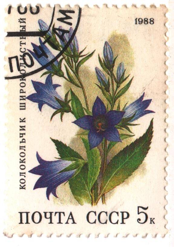 Марка почты СССР - колокольчик широколиственный из серии «Цветы широколиственных лесов» номиналом 5 к.