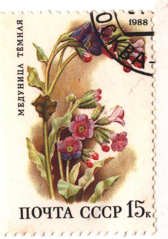 Марка почты СССР - медуница тёмная из серии «Цветы широколиственных лесов» номиналом 15 к.