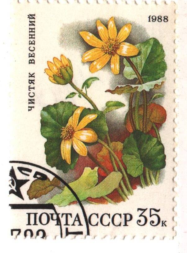 Марка почты СССР - чистяк весенний из серии «Цветы широколиственных лесов»  номиналом 35 к.