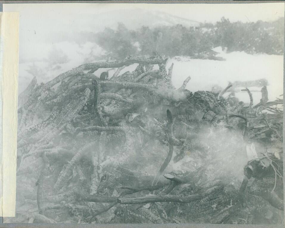 Фотография черно-белая  № 9 из фотоальбома «Обряд сожжения у коряков»