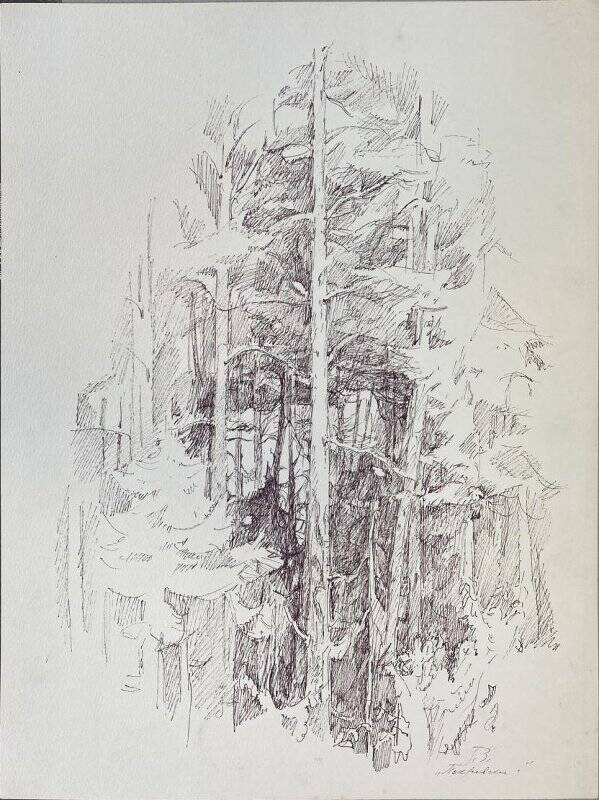 Рисунок «Покровское. Лес»