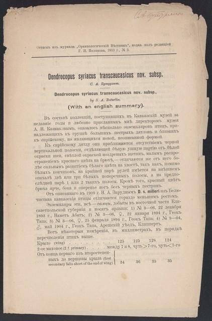 Отдельный оттиск. Dendrocopus syriacus transcaucasicus nov. subsp.// Орнитологический Вестник. - 1910. - №3.
