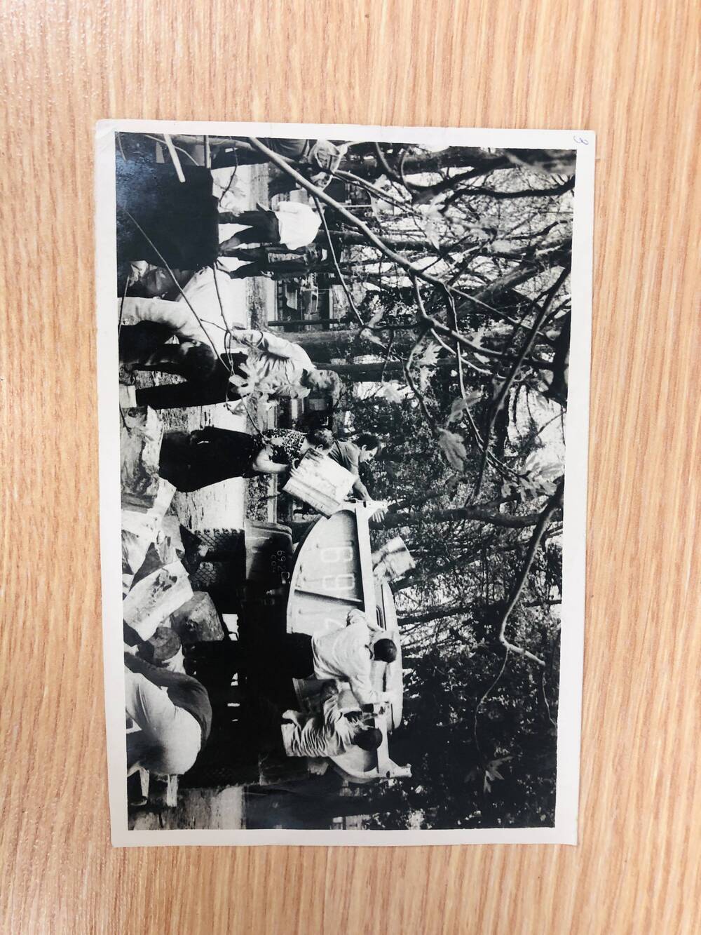 Фотография глянцевая групповая личный состав райотдела милиции принимает участие в ленинском субботнике. Адлер, 12.04.1970 г.