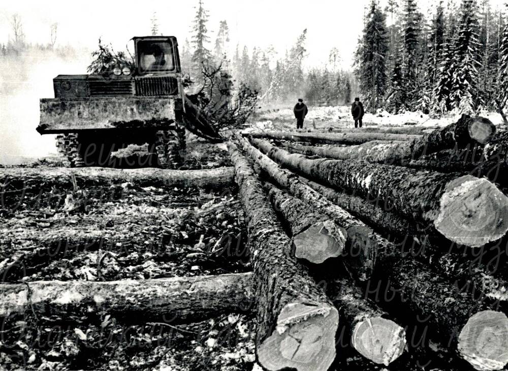Фото, трелевка леса, автор Казнин В.А., ч/б, 1973 г.