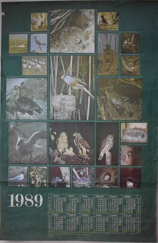 Календарь настенный на 1989 год. Виды птиц