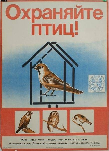 Охраняйте птиц! Плакат