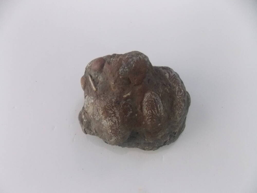 Камень с изображением растительного орнамента