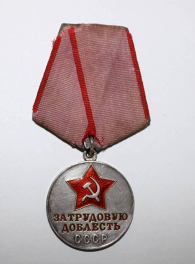  Медаль За трудовую доблесть