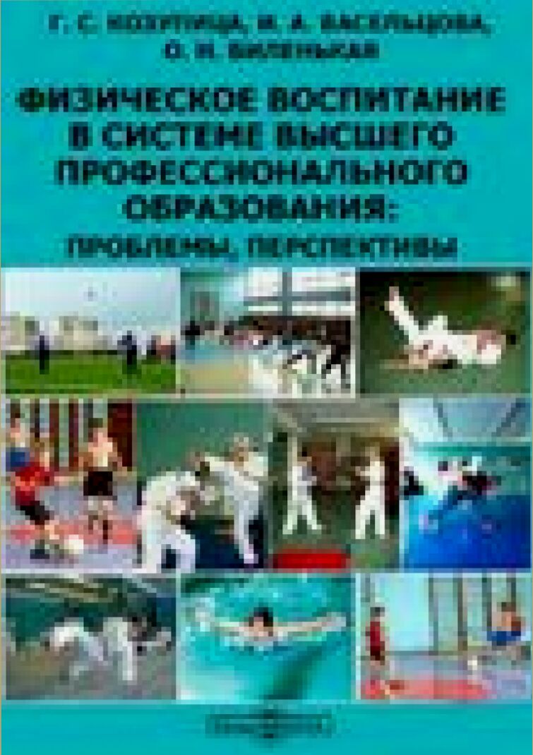 Физическое воспитание в системе высшего профессионального образования: проблемы, перспективы [Текст] : монография