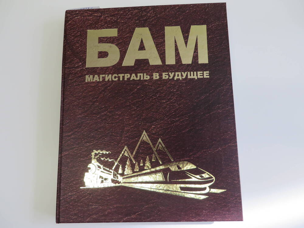 Книга БАМ Магистраль в будущее. Издательство Благовещенск. Дальний Восток. 2014 год.