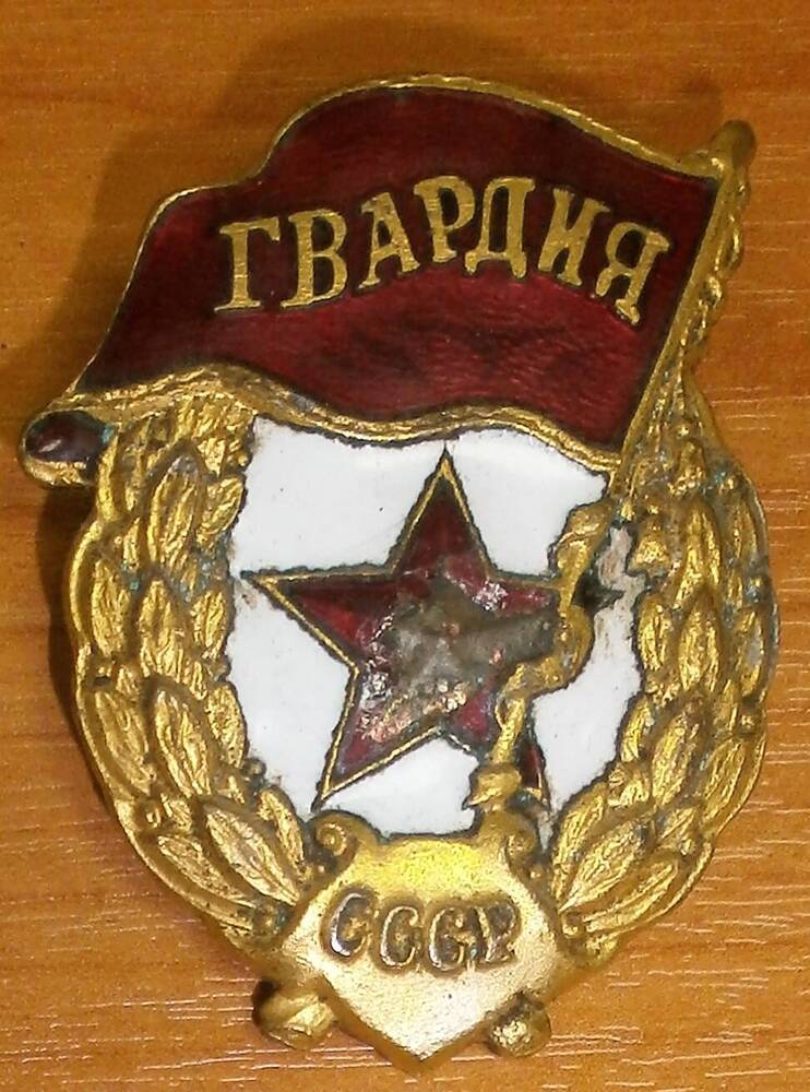 Нагрудный знак Гвардия Наумова Михаила Дмитриевича