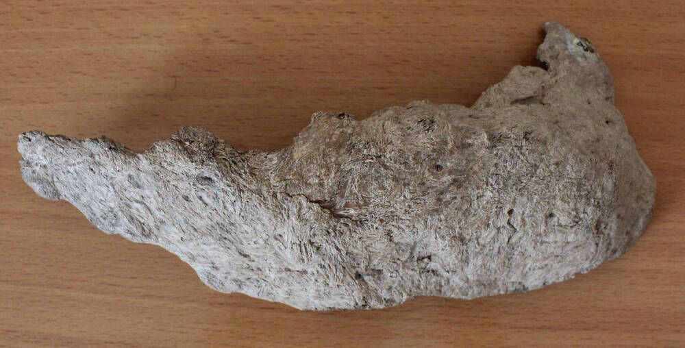 Кость мамонта (фрагмент)