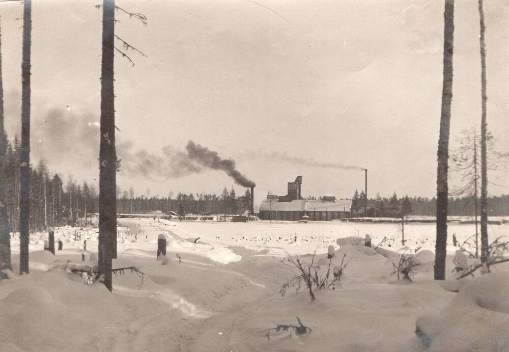 Фотография. Вид на Канифольно - Скипидарный завод
 Вахтан со стороны водохранилища, 1930-е годы.