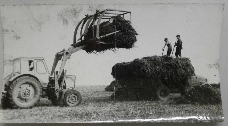 Фотография. Колхозники из колхоза «Кзыл флаг» во время заготовки сенажа.