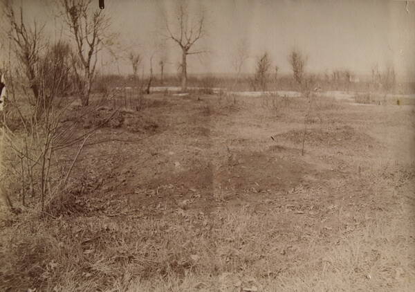 Фотография «Сухое поле с обнаженными деревьями».