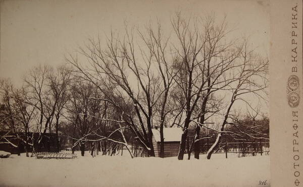 Фотооткрытка «В. Каррик. «Деревья зимой».