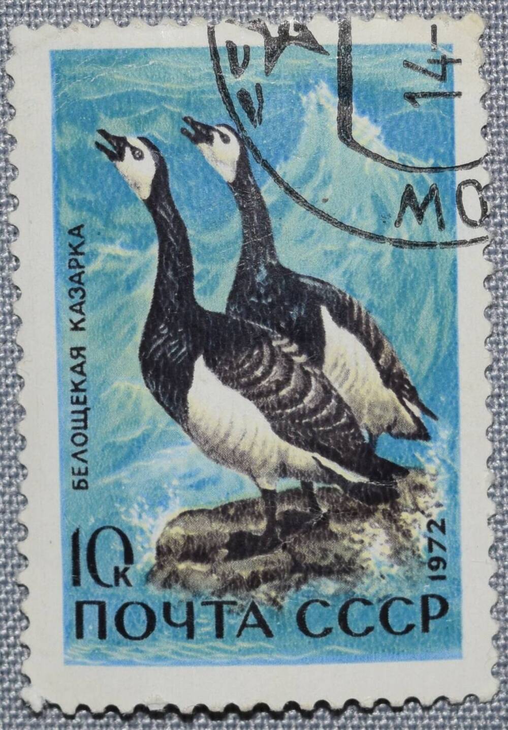 Марка почтовая СССР 10 копеек .Белощекая казарка. 1972 год.