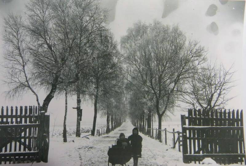 Фотография Дорога к имению Вальдау