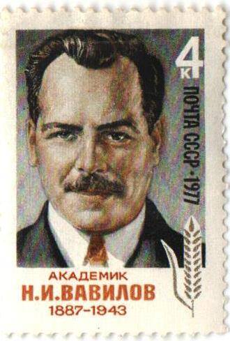 Марка почтовая СССР 4 копейки. Академик Н.И. Вавилов (1887-1943)