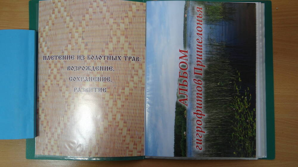 Альбом «Сохранение и развитие Пришелонских народных традиций плетения из болотных трав»