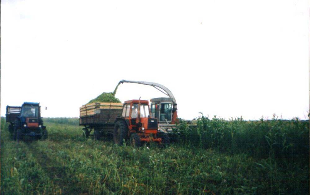 фото уборка кукурузы, 1999 г.