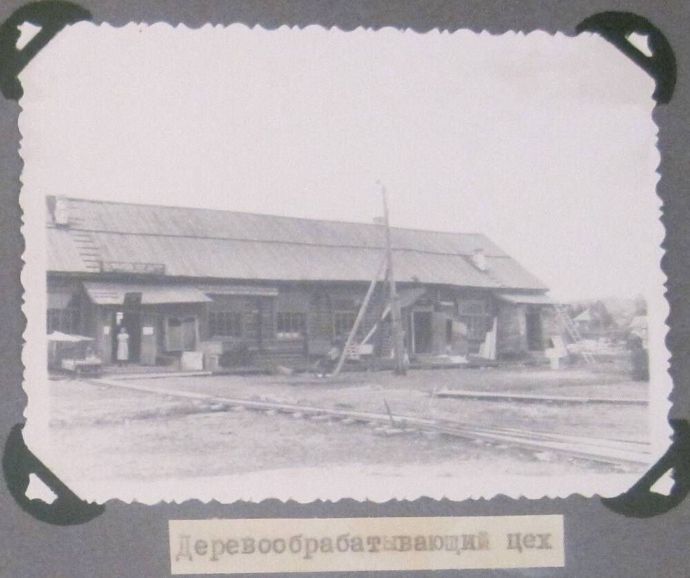 Черно-белая фотография из альбома Кузедеевский Райпромкомбинат. Деревообрабатывающий цех