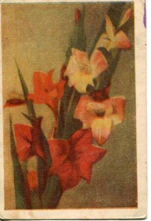 Карточка почтовая ...30 летия Комсомола!... изд. п.м. ЛДИ. Заказ №158, 1948 год, на одном листе.