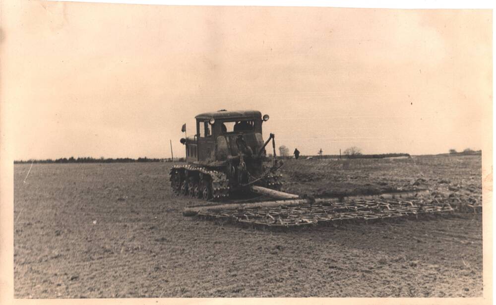 Фотография. Боронование полей в колхозе Борец.