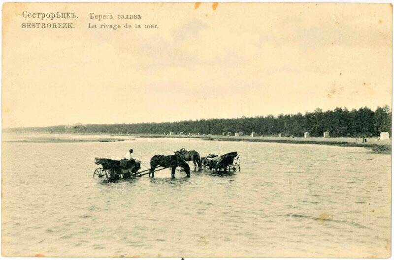 Фотооткрытка «Сестрорецкъ. Берег залива».