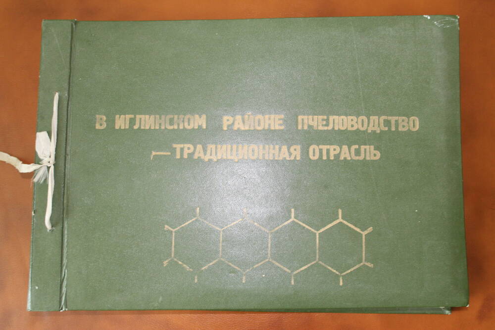 Альбом В Иглинском районе пчеловодство традиционная отрасль