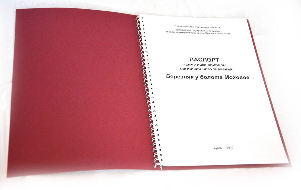 Паспорт памятника природы регионального значения Березняк у болота Моховое