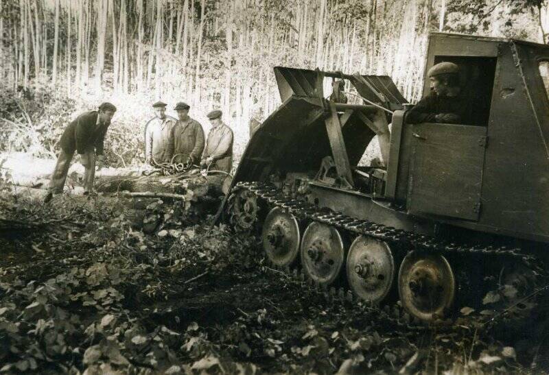 Фотография. Трелевка леса с помощью трактора ТДТ-40