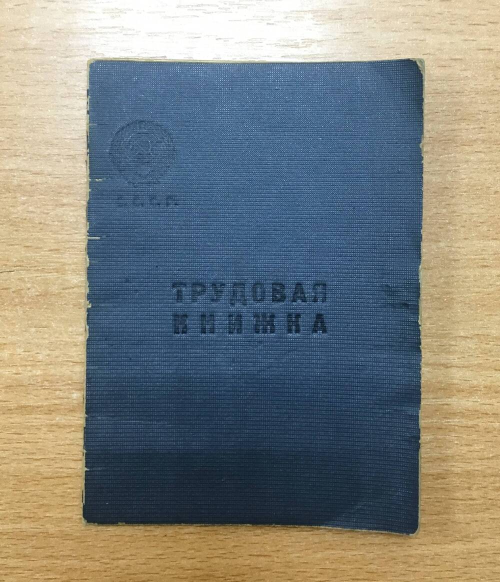 Трудовая книжка Демченко Петра Петровича