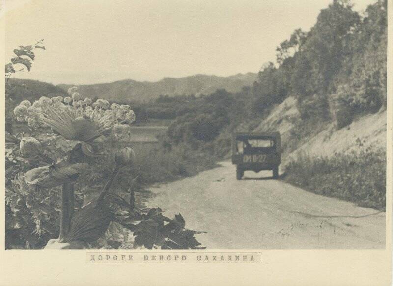 Фотография. «Дороги Южного Сахалина»