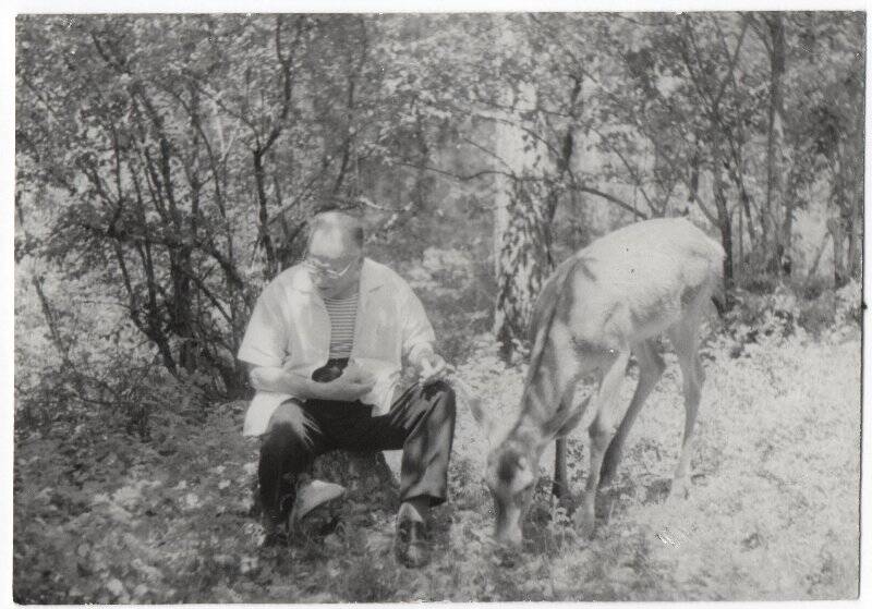 Фотография (фотокопия). К.Г. Паустовский с оленем. Приокский заповедник.