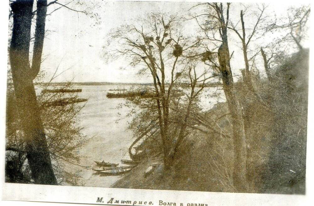 Фотокопия с  ч/б фото М.П.Дмитриева.  Волга в разлив.