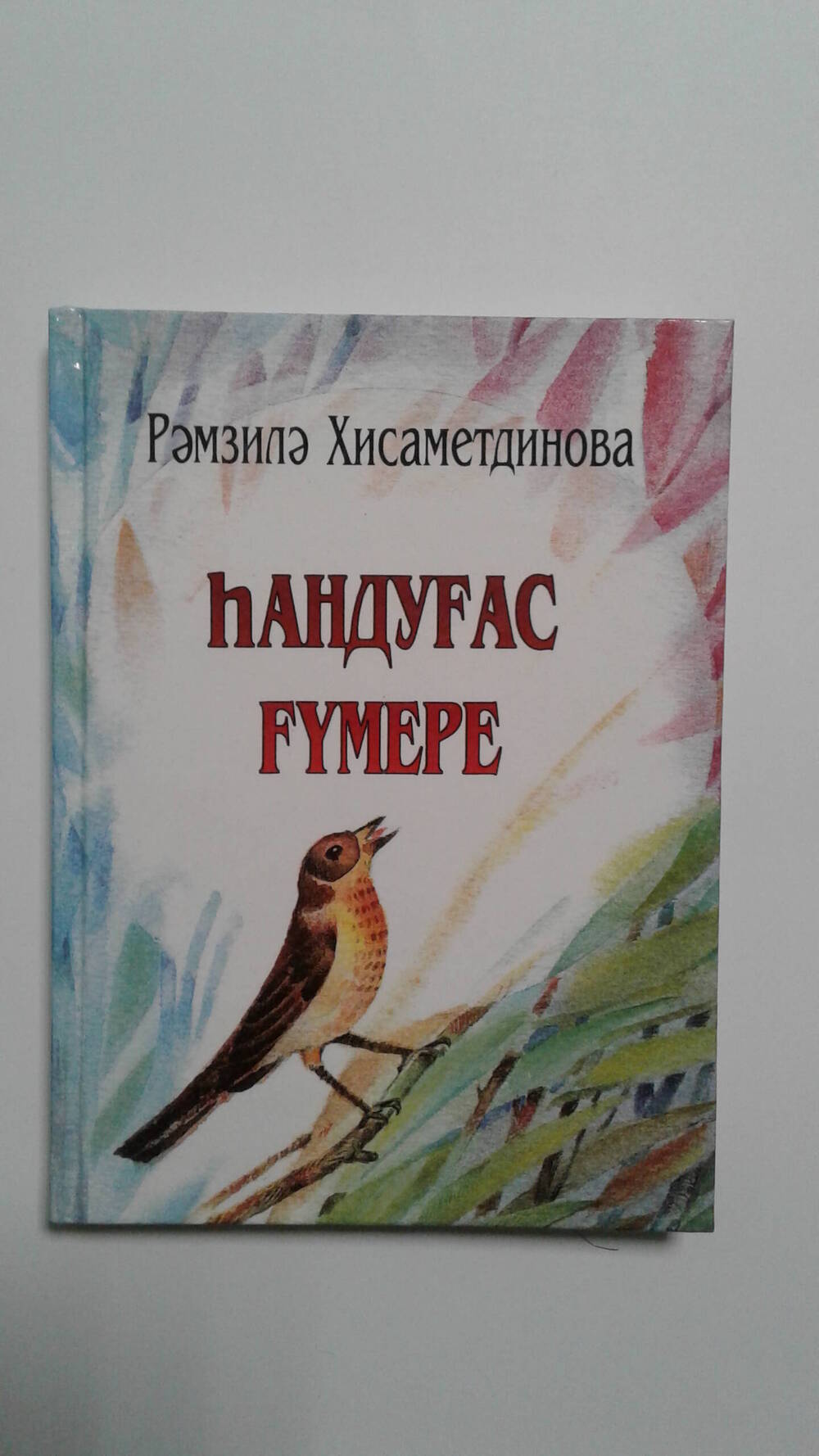 Книга Р. Хисаметдиновой «Һандуғас  ғүмере» .