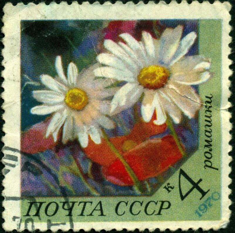 Марка почтовая. 1970 г. Достоинством 4 копейки. Ромашка.