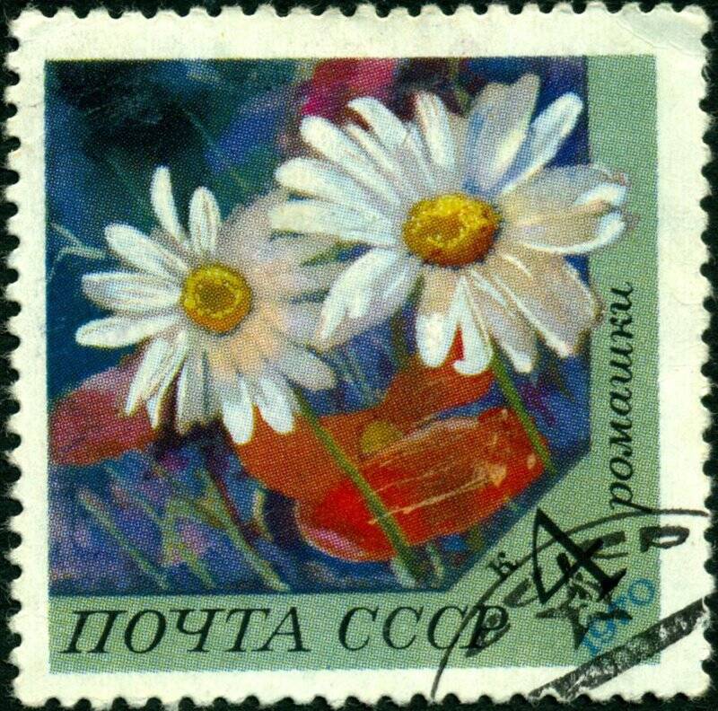 Марка почтовая. 1970 г. Достоинством 4 копейки. Ромашка.